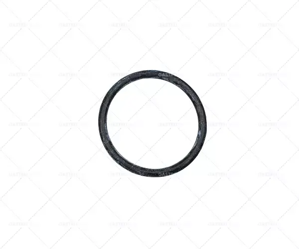 Autentický O-kroužek EPDM Tloušťka materiálu 2 mm ID o 21 mm jednotka 1 ks