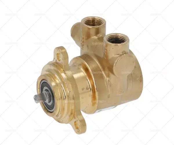 Dokud Zásoby Vydrží Hlava čerpadla T1039 PROCON L 82mm 180L / h 3/8 "NPT s mosazným bypassem