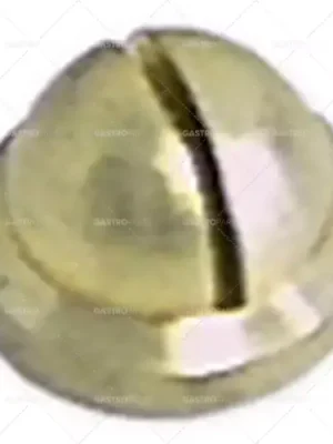 Koupit Online oplachování trysek