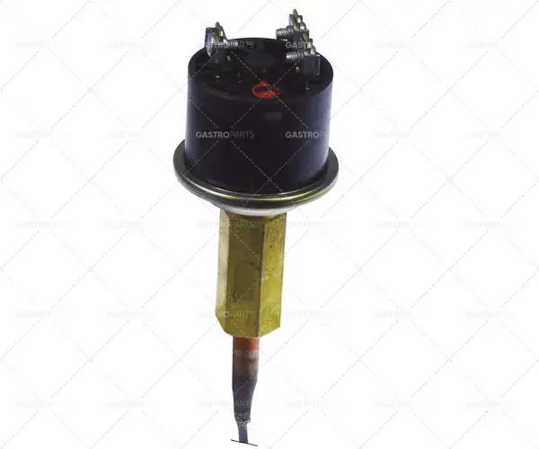 Jen Po Omezenou Doba hydrostat typ g60h1129401