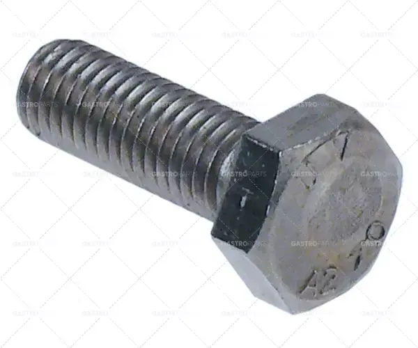 Značkový šestihranný závit M10 závit L 30mm SS WS 17 Množství 1 ks