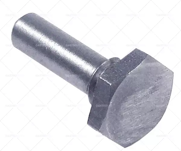 Koupit Online dveřní šroub ø 6mm L 25mm závit M8 WS 13