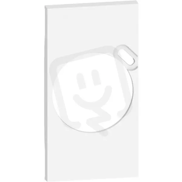 LIVING NOW KRYTKA ZÁSUVKY 2P+T S USB C NABÍJEČKOU 2 MODULY BÍLÁ BTICINO KW62 Nejlepší Volba