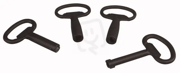 Autentický NWS-SL/DLB/3 Klíč Doppelbart 3mm EATON 255317